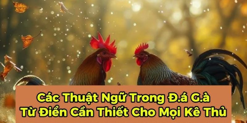 Các thuật ngữ trong đá gà Những thuật ngữ cơ bản trong đá gà